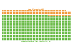 Ripple-Data-Set