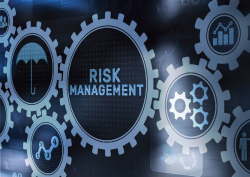 cyber-risk-management-250